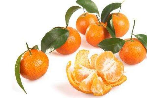 芦柑是几月份的水果,芦柑什么季节成熟