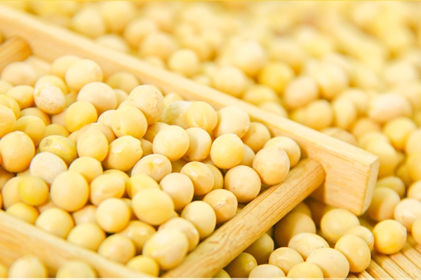 豆浆会不会上火?,天天喝豆浆会不会上火