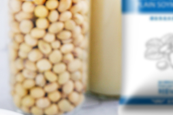 什么豆浆有助于睡眠,适合冬季喝的豆浆有哪些