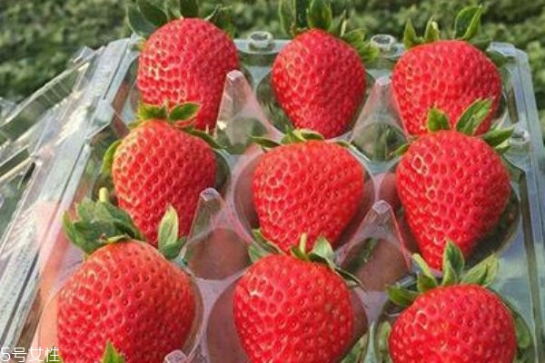 草莓 转基因,白色的草莓是转基因吗 草莓 转基因,白色的草莓是转基因吗