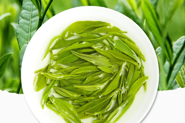 绿茶是清茶吗,清茶和绿茶是一种茶吗