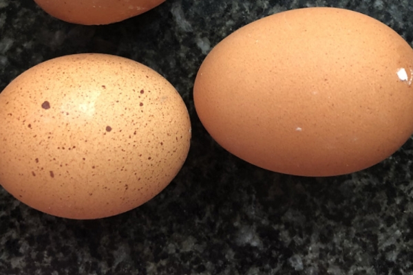 有哪些沙拉,沙拉酱什么口味最好吃