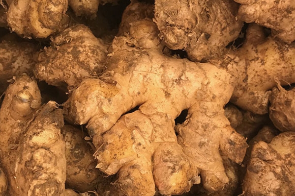 姜汤能和药一起吃吗,生姜汤和西药可以一起吃吗