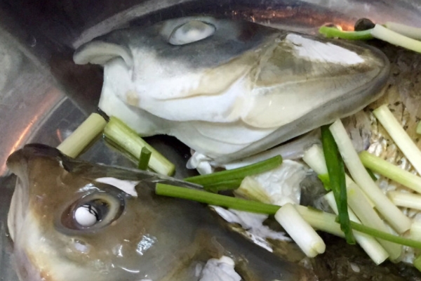 剁椒鱼头可以用草鱼头吗,新鲜草鱼头做剁椒鱼头好吃不