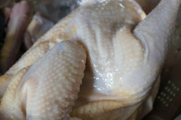 白斩鸡是公鸡还是母鸡做的,白斩鸡用公鸡还是母鸡 白斩鸡是公鸡还是母鸡做的,白斩鸡用公鸡还是母鸡