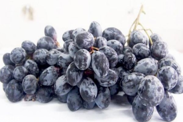 黑加仑葡萄干的图片,黑加仑葡萄干多少钱一斤 黑加仑葡萄干的图片,黑加仑葡萄干多少钱一斤