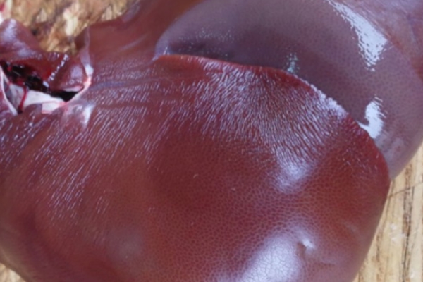 猪肝怎么煮好吃又嫩,猪肝怎么做好吃