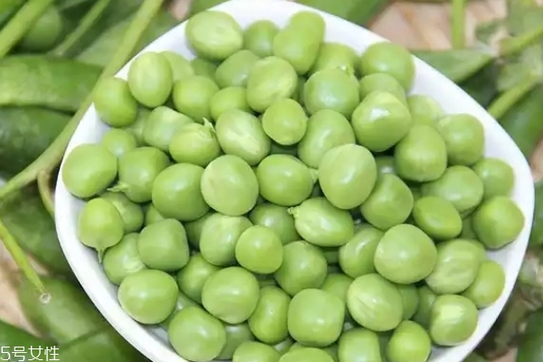 豌豆为什么生虫,豌豆里的虫子是什么虫