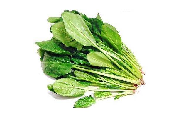脸上过敏能吃菠菜吗,吃菠菜会不会过敏