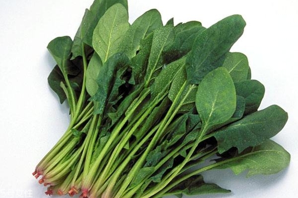 菠菜怎样榨汁,菠菜怎么榨汁和面