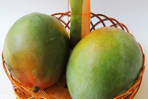 凯特芒果需要放软了吃吗,凯特芒果怎样才算熟 凯特芒果需要放软了吃吗,凯特芒果怎样才算熟