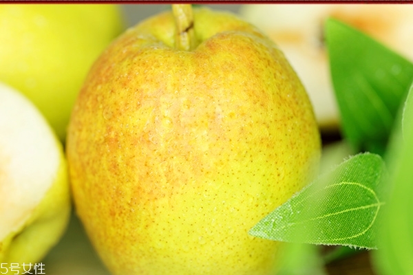 正宗雪梨是什么样子的,雪梨哪里的最好