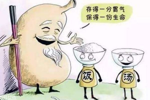 猴菇饼干对胃好不好,猴头菇饼干真的能养胃吗 猴菇饼干对胃好不好,猴头菇饼干真的能养胃吗