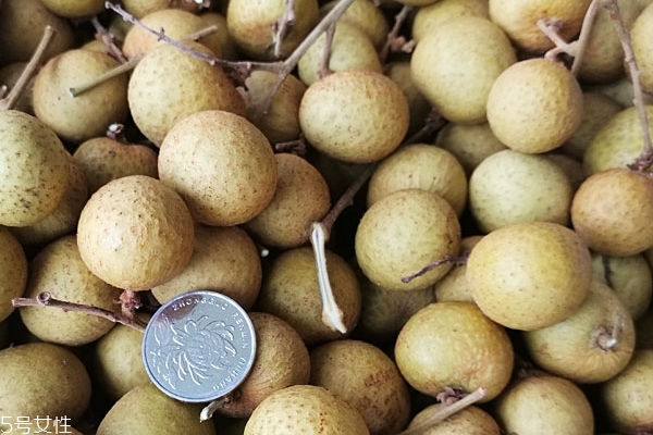 龙眼怎么剥皮方便,龙眼怎么剥皮