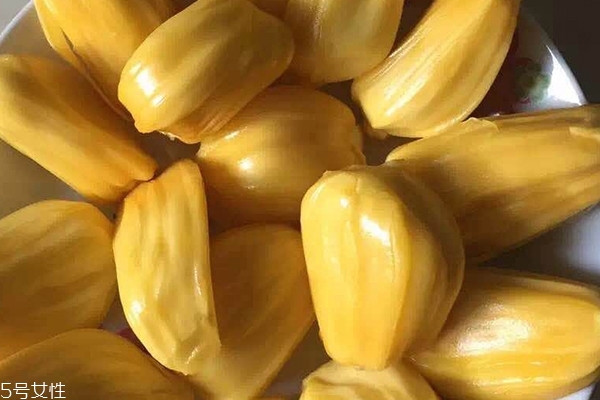 菠萝菠萝蜜菠萝菠萝1,菠萝蜜的样子 菠萝菠萝蜜菠萝菠萝1,菠萝蜜的样子