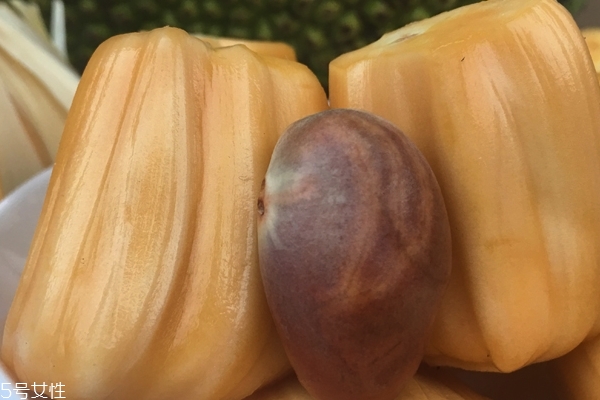 菠萝菠萝蜜菠萝菠萝1,菠萝蜜样子