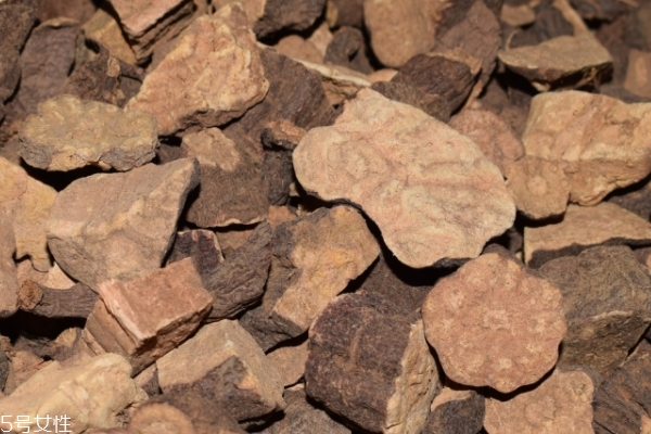 何首乌价格2021最新价格,何首乌价格多少钱一斤