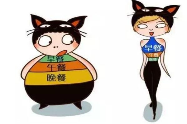 肥胖的人早餐应该吃什么,早上不吃饭会胖吗?