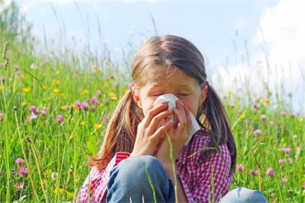 花粉过敏源有哪些(花粉过敏源有哪些)