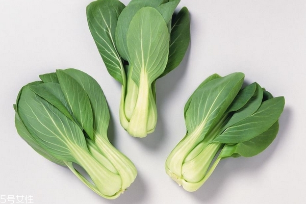 秋季可以种的蔬菜有哪些,秋季可以种什么蔬菜水果