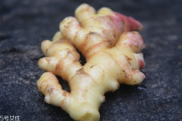 怎样种植生姜视频,生姜怎么种植方法视频 怎样种植生姜视频,生姜怎么种植方法视频