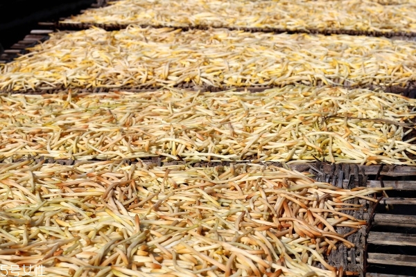 黄花菜有什么营养和功效,黄花菜的功效和作用及营养价值