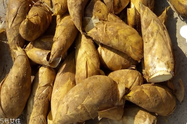 新鲜的冬笋怎么储存,冬笋的存储方法