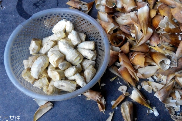 挖冬笋什么时间最好,冬笋怎么挖冬笋技巧