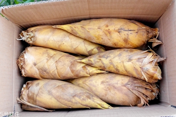 冬笋怎么去苦味,冬笋怎么去苦味最快 冬笋怎么去苦味,冬笋怎么去苦味最快