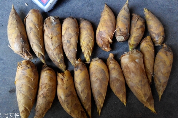 冬笋怎么切片,冬笋怎么挖 冬笋怎么切片,冬笋怎么挖