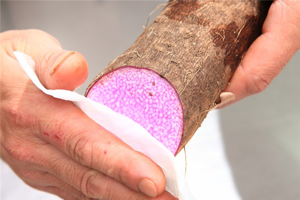 山药一根吃不完怎么保存,新鲜山药的保存方法 山药一根吃不完怎么保存,新鲜山药的保存方法