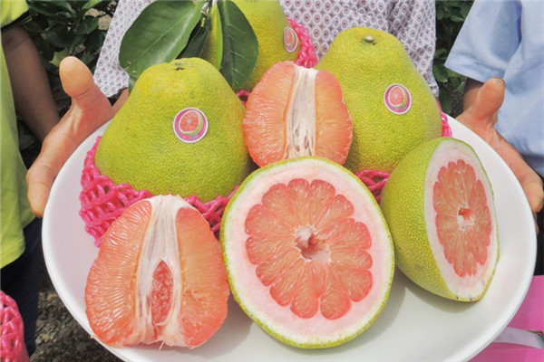 秋天吃柚子,中秋节吃柚子