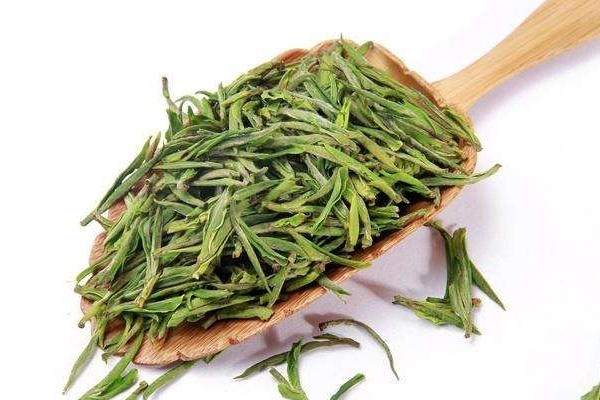 绿茶为什么要放冰箱冷藏,绿茶为什么要放冰箱里