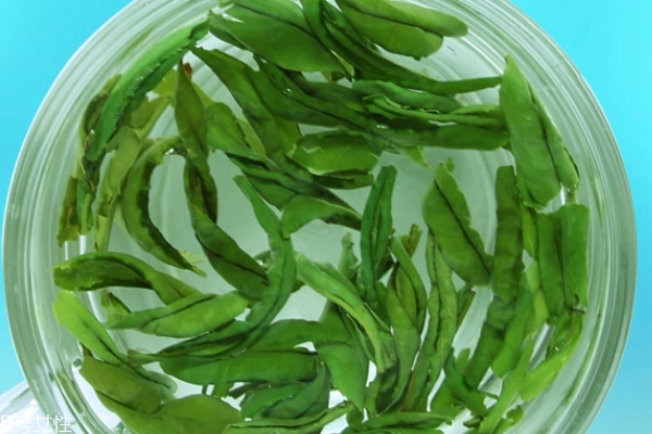 六安瓜片怎么保存要放冰箱吗,六安瓜片怎么保存