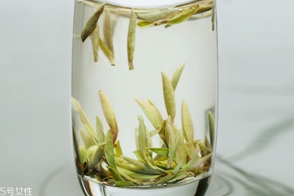 白茶怎么选择好坏,怎么区分白茶的好和坏