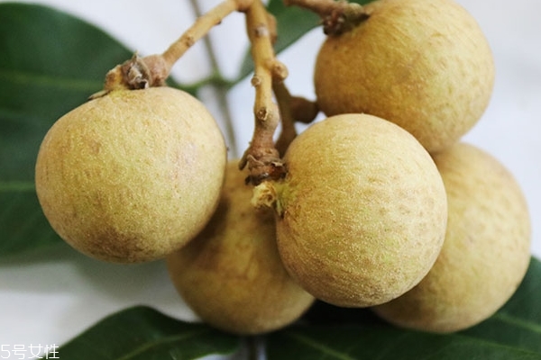 龙眼为什么一年四季都有,为什么龙眼可以四季结果