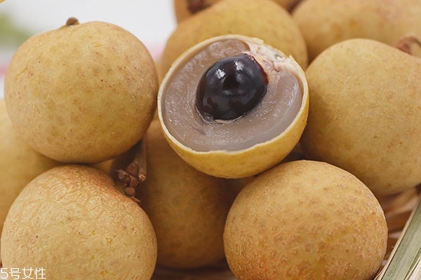 龙眼有虫子吗,龙眼会长虫吗