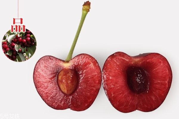 车厘子有什么品种,车厘子有多少种品种和图片 车厘子有什么品种,车厘子有多少种品种和图片