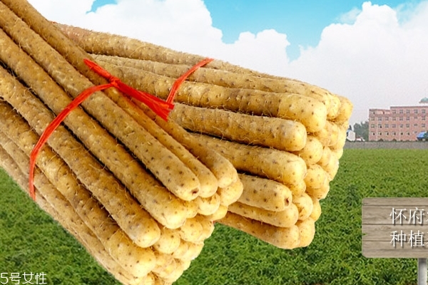 山药怎么保存时间长,如何保存山药