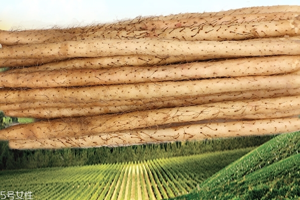 山药为什么会变黑怎么办,山药为什么会变黑能吃