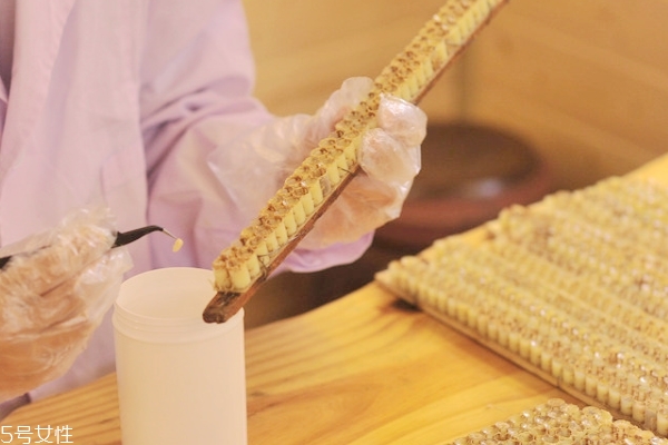 蜂王浆需要冷冻还是冷藏,蜂王浆保存温度冷冻还是冷藏 蜂王浆需要冷冻还是冷藏,蜂王浆保存温度冷冻还是冷藏