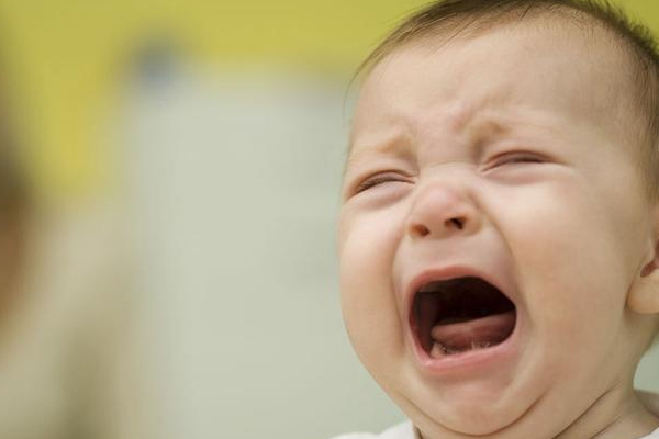 枇杷不能和什么一起吃(川贝枇杷不能和什么一起吃)