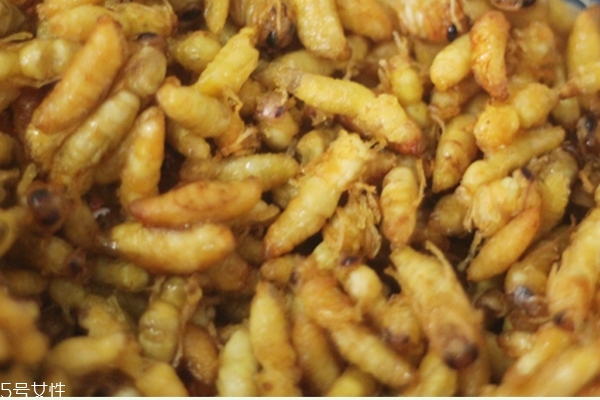 蜂蛹可以放冰箱吗做丸子,蜂蛹可以放冰箱吗?