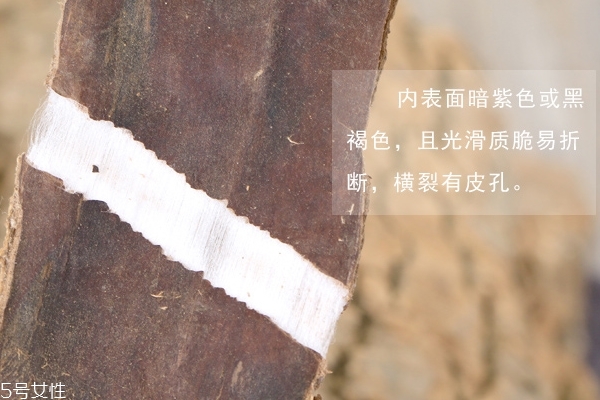 杜仲和什么泡酒最好,杜仲怎么泡酒好