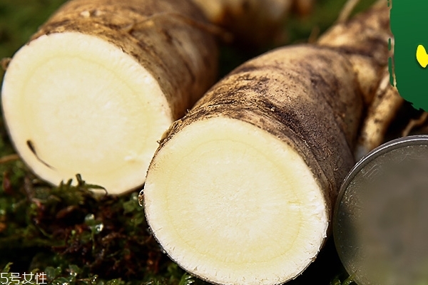 野山参会上火吗,野山参会不会上火