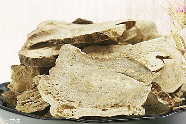 白术是什么样子的图片,白术是什么东西