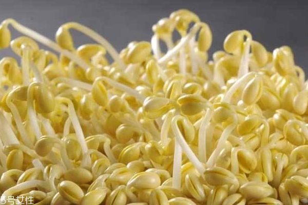 豆怎么变成豆芽,自己发的豆芽为什么苦