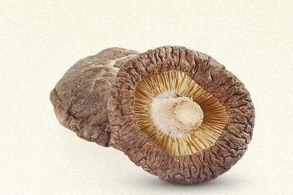 香菇为什么会苦能吃吗,香菇为什么会苦 香菇为什么会苦能吃吗,香菇为什么会苦