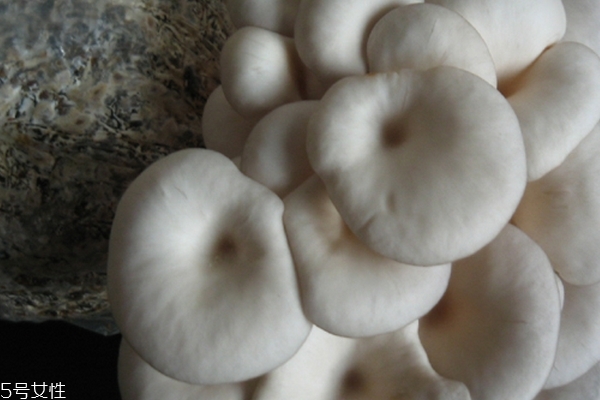 蘑菇需要炒多久能熟,蘑菇怎样做才好吃