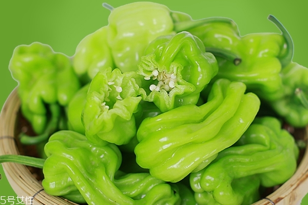 青椒会变红吗,青椒变红是怎么回事